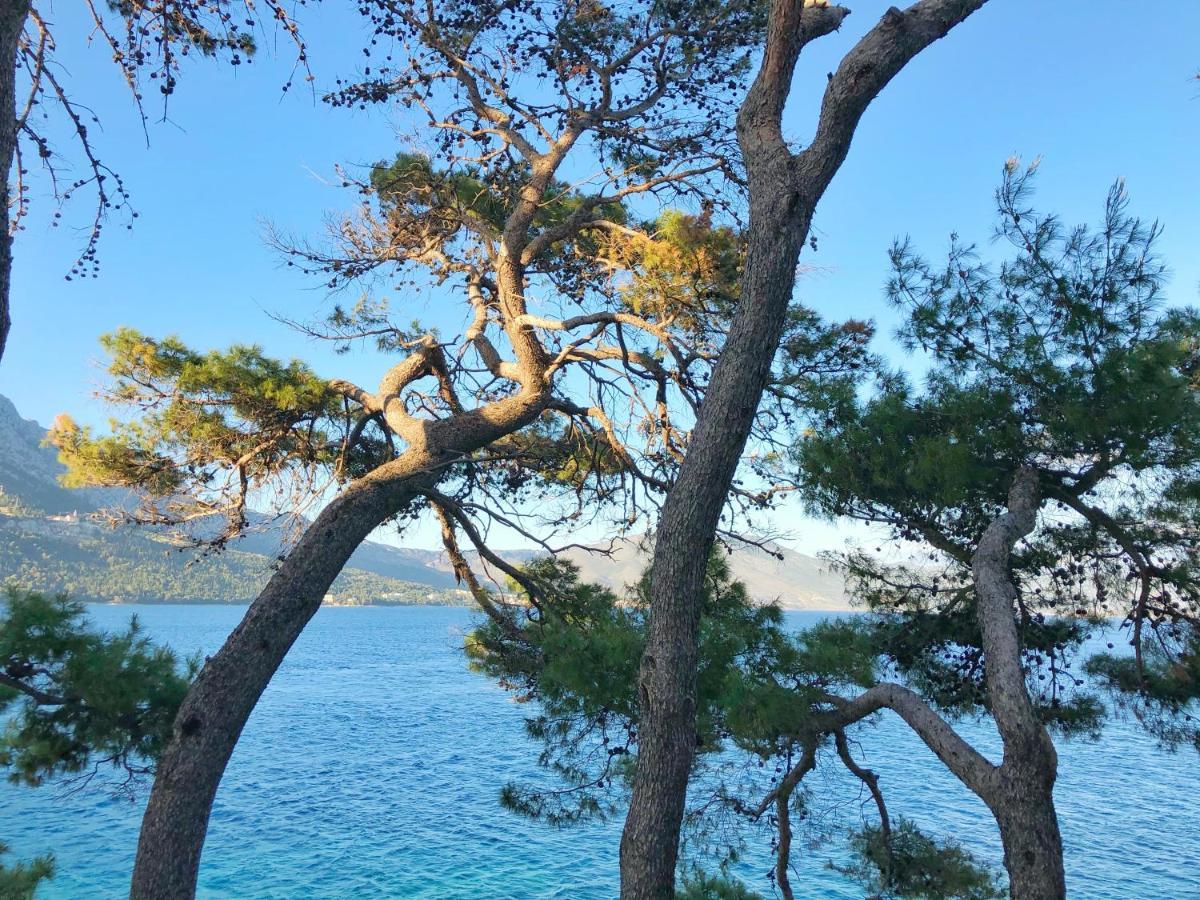 Rondina House Hotel Korčula Екстериор снимка