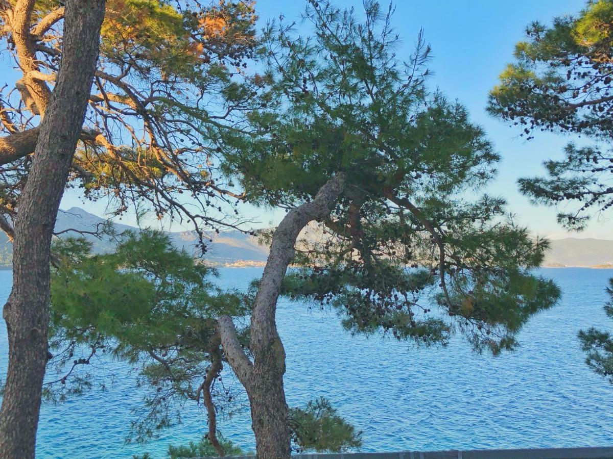 Rondina House Hotel Korčula Екстериор снимка